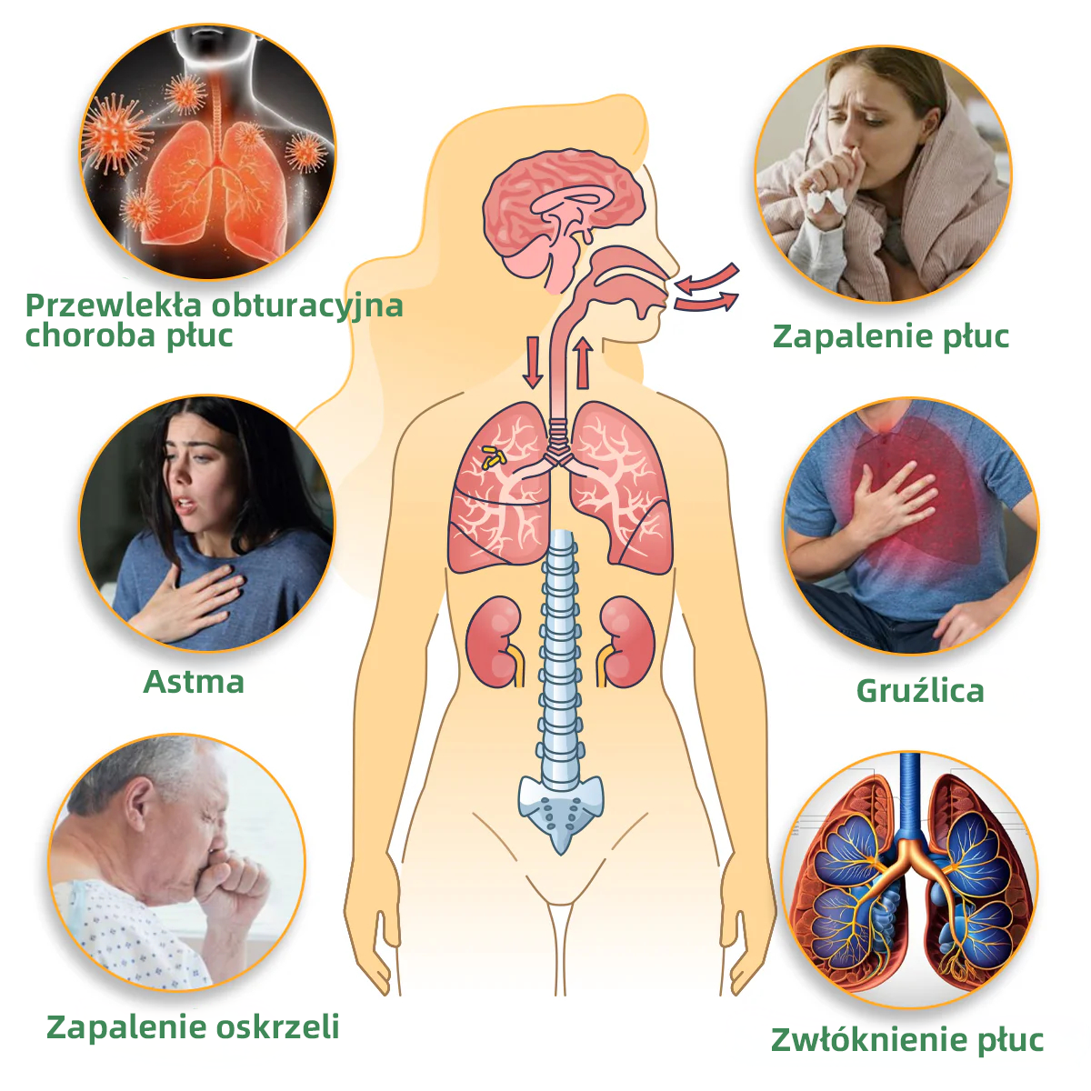 Oficjalny sklep💝✅:Thonesr® Ziołowy Inhalator Oczyszczający Płuca  🫁Zatwierdzony przez URPL(💝 kaszel, świszczący oddech, duszność, plwocina, zatkany nos, zapalenie oskrzeli, zapalenie oskrzeli, objawy alergii, dyskomfort w płucach💝)👩‍⚕️