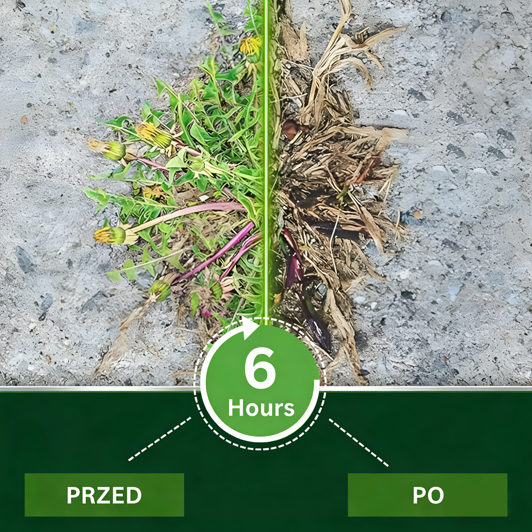 IEY® 2 w 1 Max Power Herbicide (70% RABATU KOŃCZY SIĘ ZA 10 MINUT)